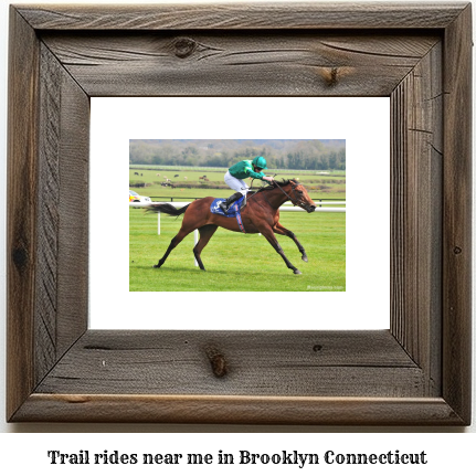 trail rides near me in Brooklyn, Connecticut